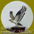 عقاب ماهی گیر