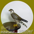 بالابان
